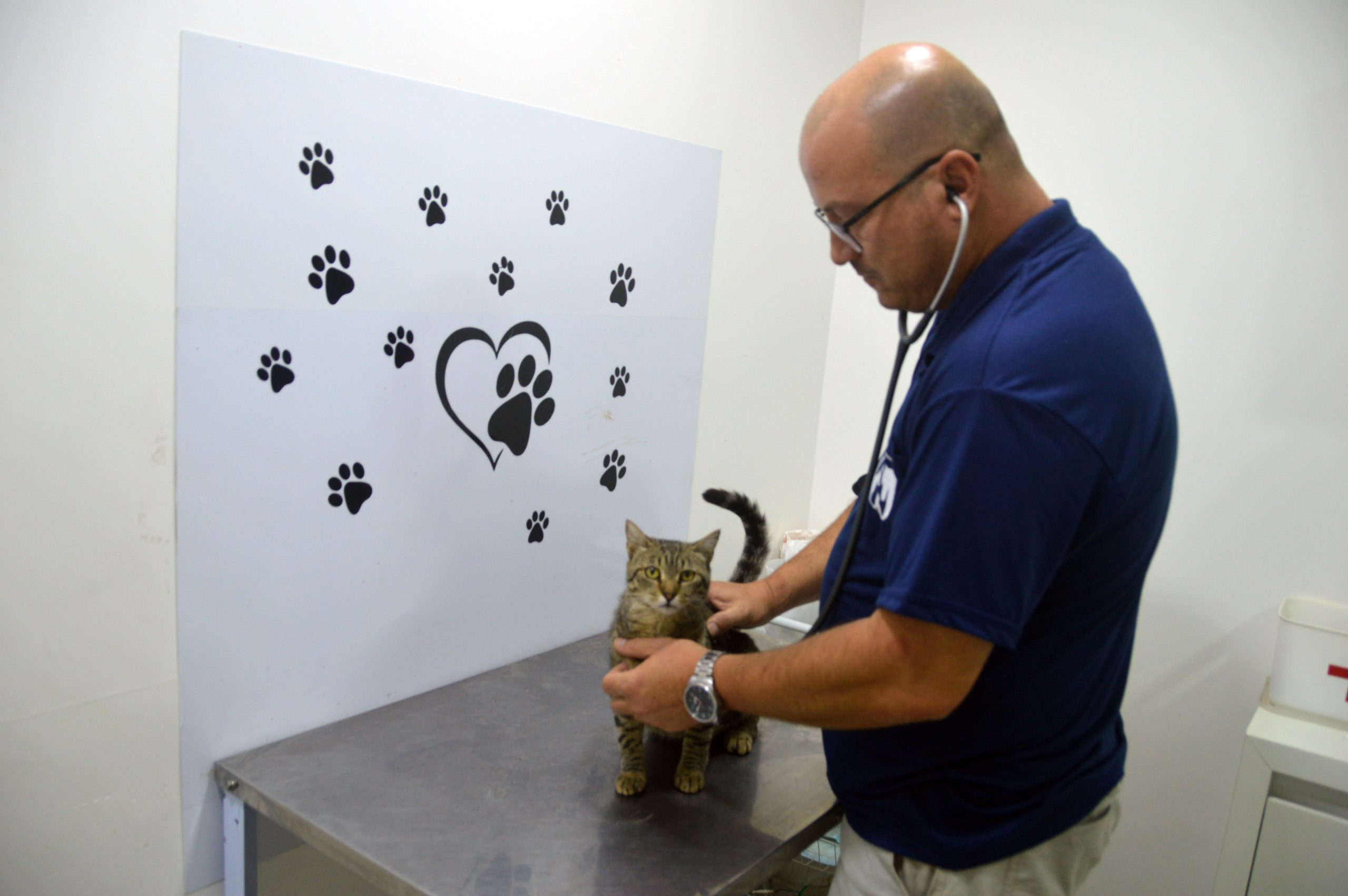OAB Barro Preto - Clínica Municipal Veterinária se chamará Dr. Giovani Antunes Dalcastagnê