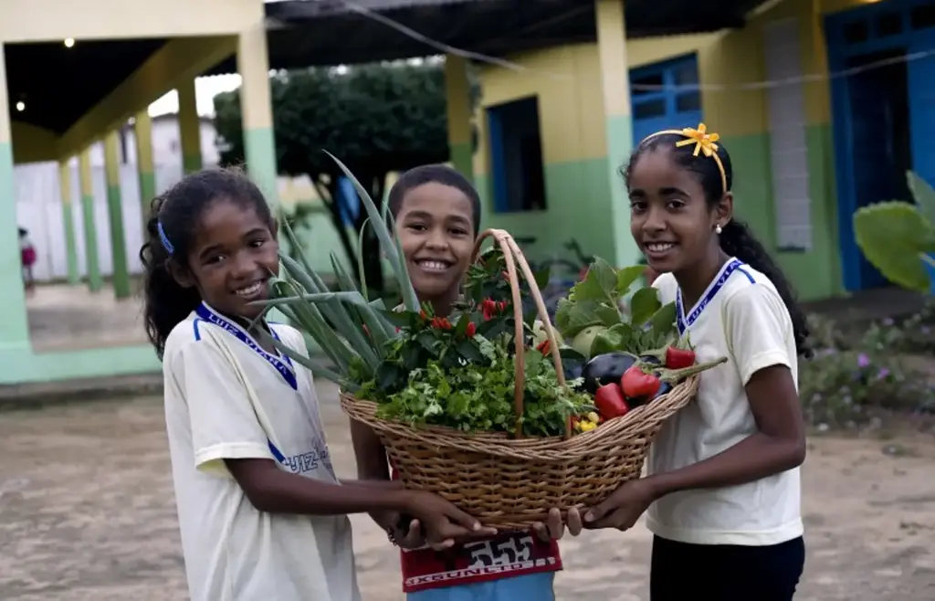 OAB Barro Preto - Novo Pronacampo entra na reta final de adesão