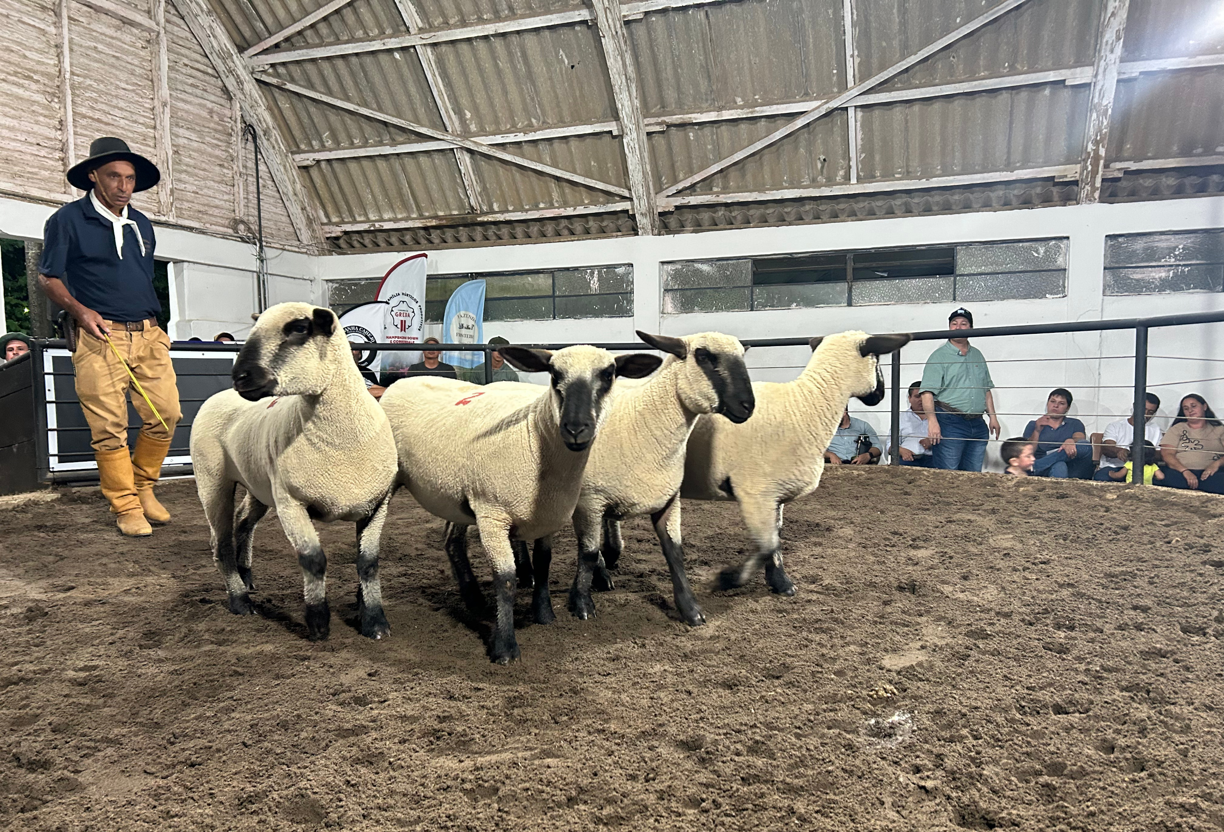 OAB Barro Preto - Agrovino fecha 18ª edição com R$ 1,416 milhão movimentados em negócios