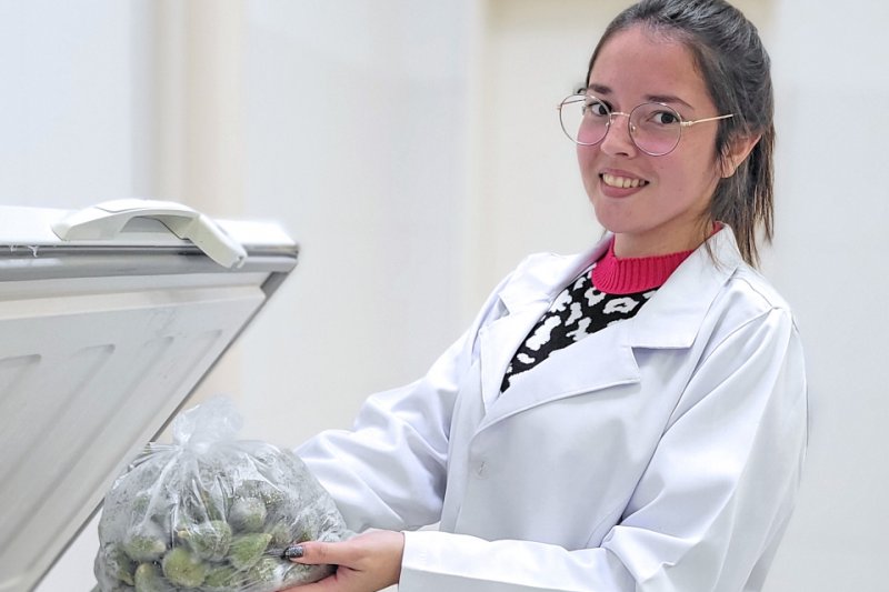 OAB Barro Preto - Cursos técnicos gratuitos do IFFar têm inscrições abertas até dia 30  