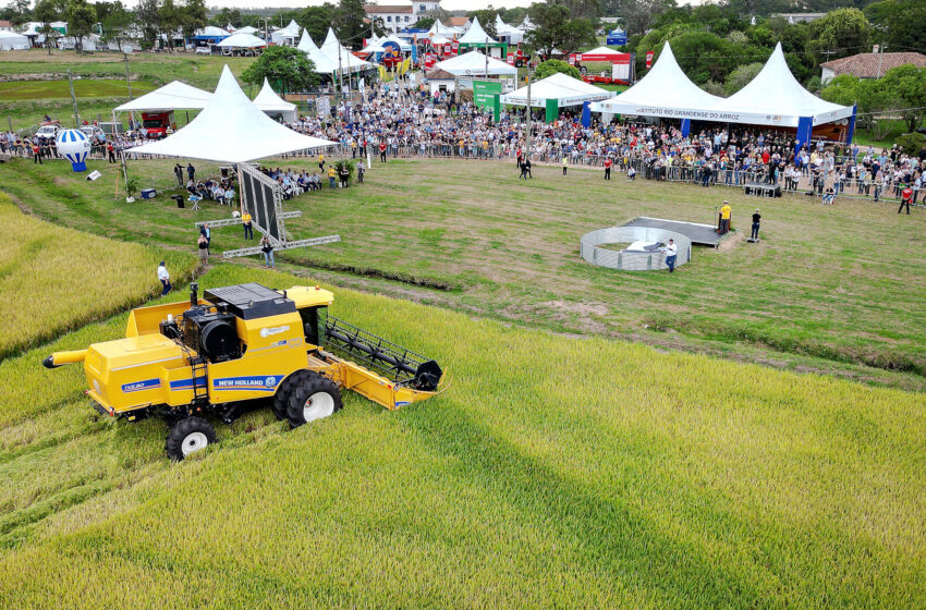OAB Barro Preto - Abertura da Colheita do Arroz inicia programação nesta terça