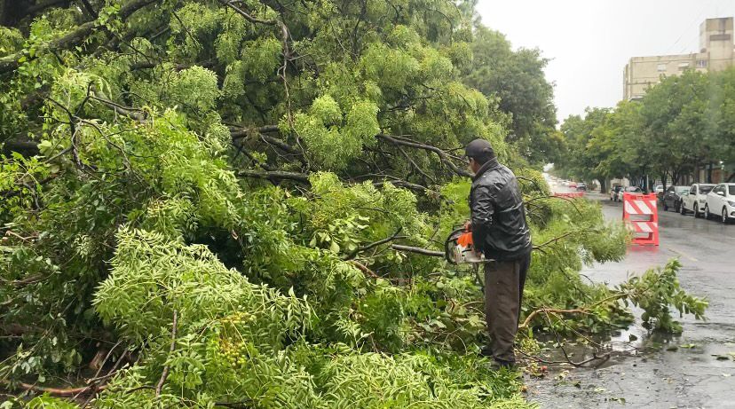 OAB Barro Preto - Tempestade atinge Uruguaiana com ventos fortes e ruas alagadas