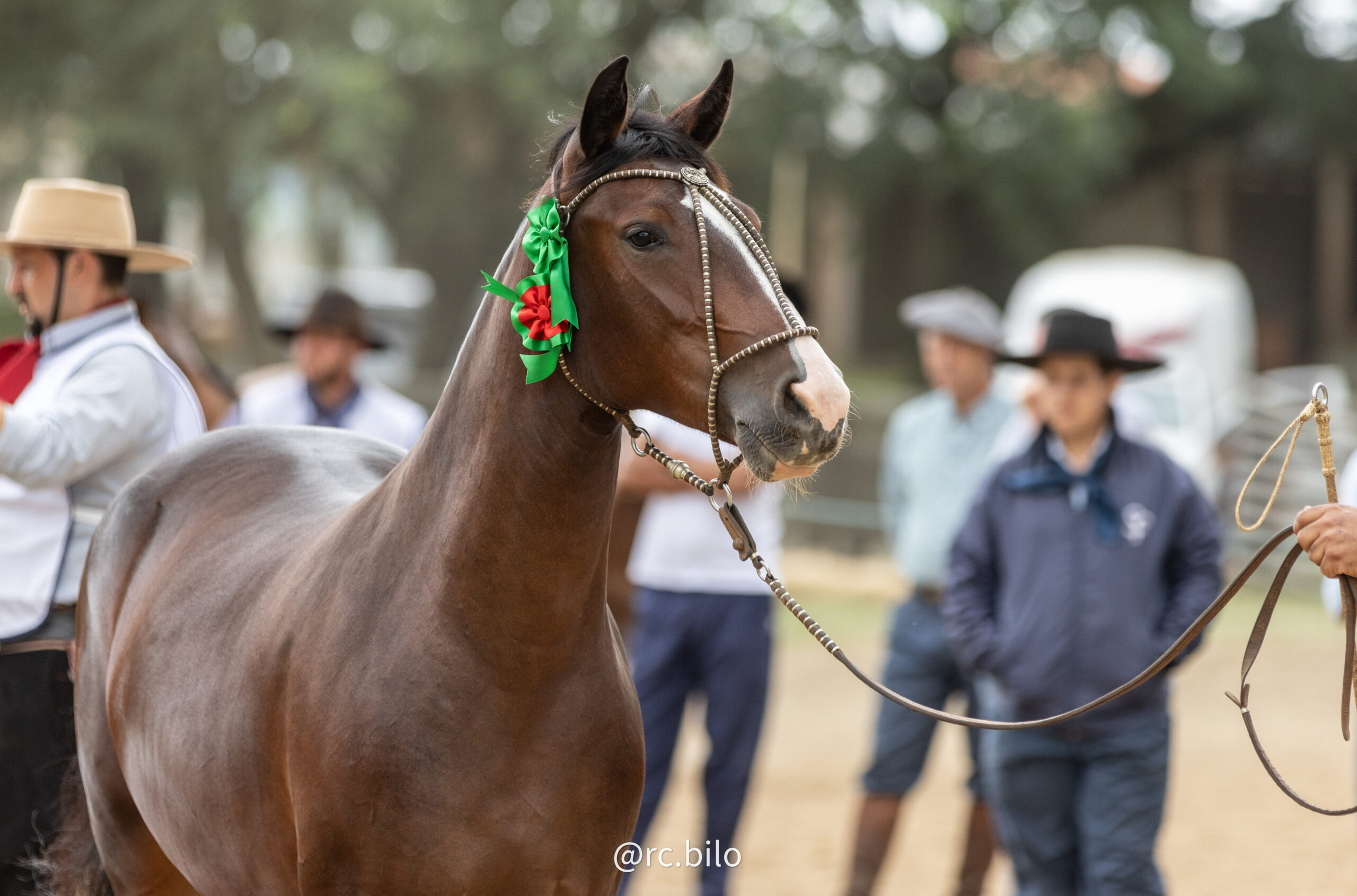 OAB Barro Preto - Cidade paranaense abriu ciclo de Outono das Exposições Passaporte