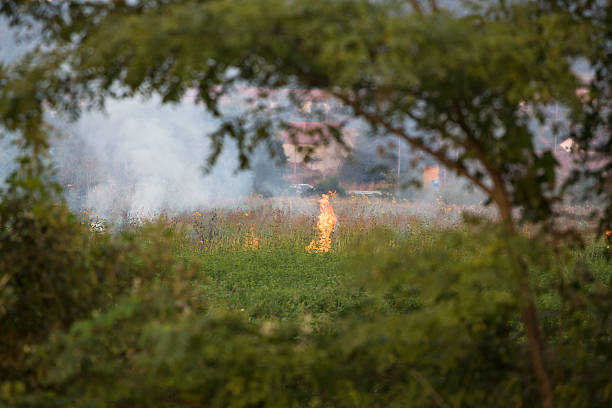 OAB Barro Preto - Bombeiros controlam incêndio em vegetação na Flores da Cunha