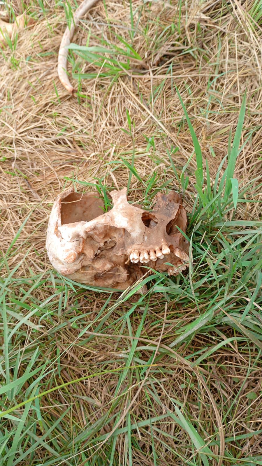 OAB Barro Preto - Ossada encontrada no Itapitocai passa por análise do IGP