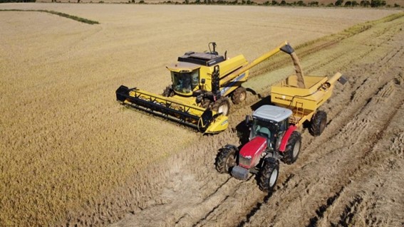 OAB Barro Preto - Rio Grande do Sul colheu 79,3% da lavoura de arroz