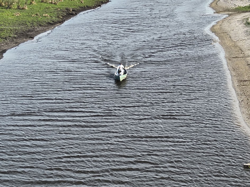 OAB Barro Preto - Encerrado foco de gripe aviária na Estação Ecológica do Taim