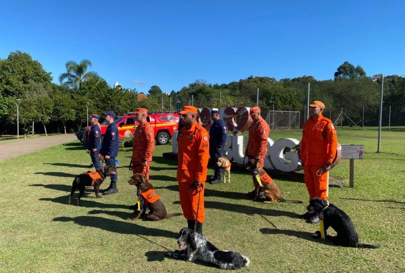 OAB Barro Preto - Estado conquista 3º lugar em certificação nacional de cães de resgate