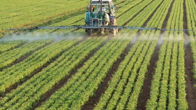 Agro gaúcho enfrenta pressão nos custos e recuperação de preços lenta