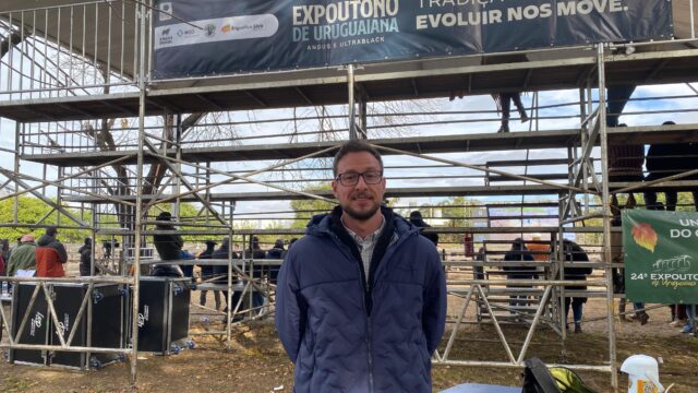 Expo Brangus consolidou crescimento da raça no Brasil