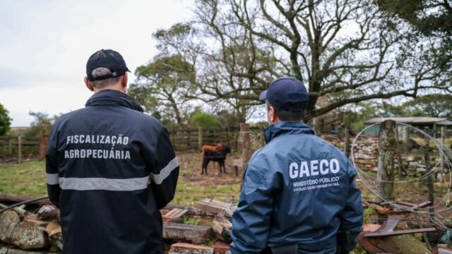 Preso comandava esquema de lavagem e tráfico de dentro da Modulada