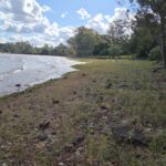 Projeto prevê espaços de convivência, lazer e melhorias na infraestrutura do entorno da barragem créditos: Luis Eduardo Dedeco/Especial/JC.