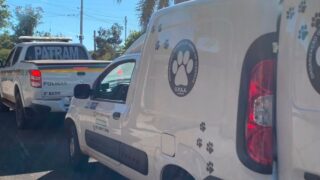 Idoso é preso após cometer zoofilia em Alegrete