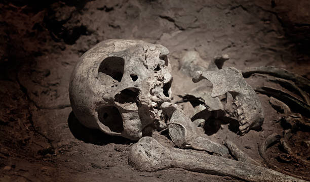 Ossada humana é encontrada no interior de Alegrete