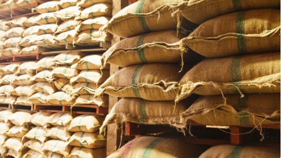 Conab realiza leilão de compra de arroz na próxima quarta-feira