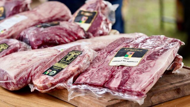 Workshop Carne Angus debate oportunidades e perspectivas do mercado premium